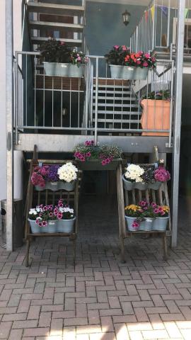 Rheinliebe Bistro und Pension — photo 15