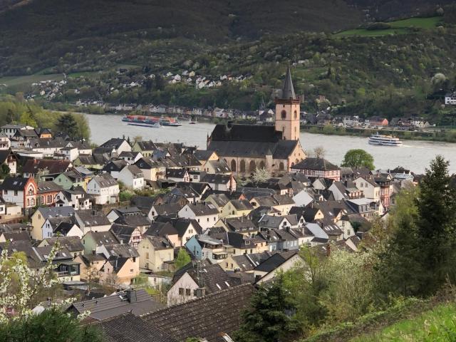 Rheinliebe Bistro und Pension — photo 20
