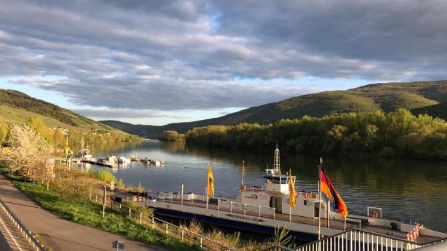 Rheinliebe Bistro und Pension — photo 21