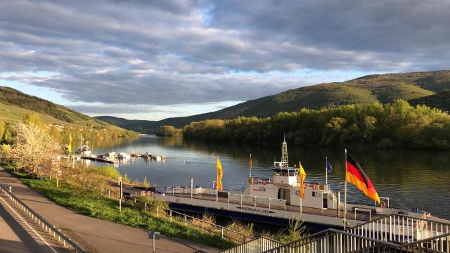 Rheinliebe Bistro und Pension — photo 24