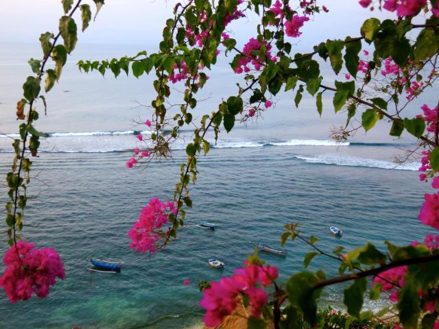 Acacia Bungalows Bingin — photo 20