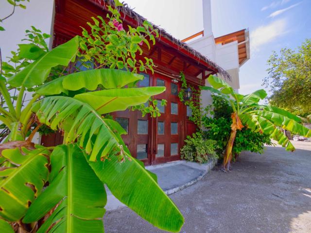Maldivine Stay Dhiffushi — photo 17