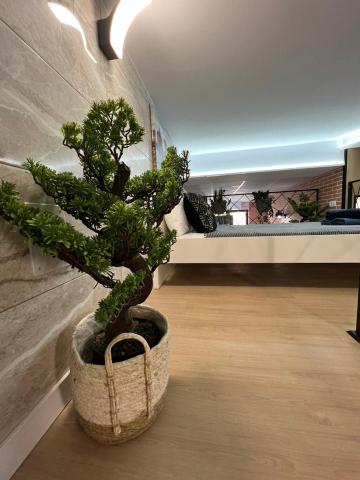 Carcaixent 24 — photo 21
