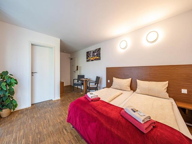 Pension zum Bergmann — photo 10