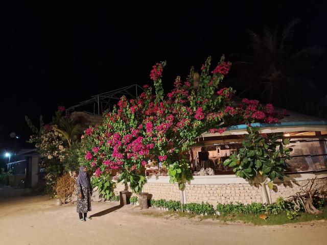 Sky Village — photo 10