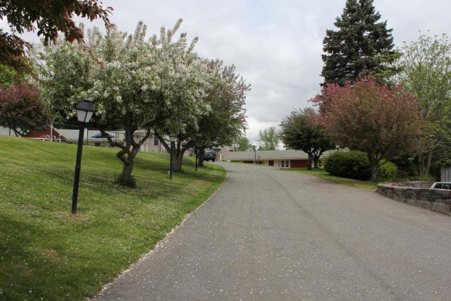 Berkshire Inn — photo 23
