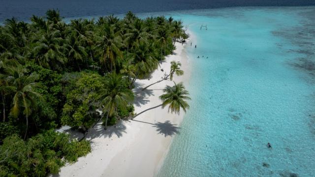 Hitha Maldives — photo 21