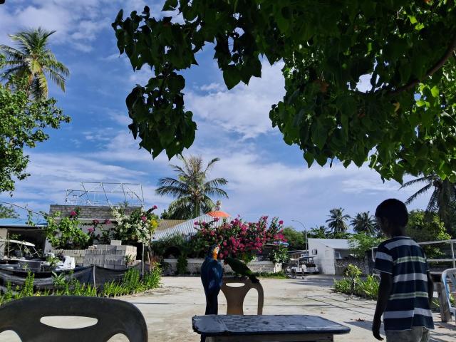 Sky Village — photo 15