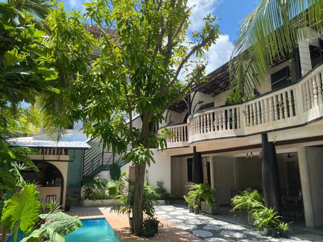 Zinnia Maldives — photo 7