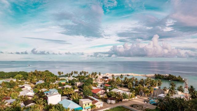 Hanifaru Beach Inn — photo 14