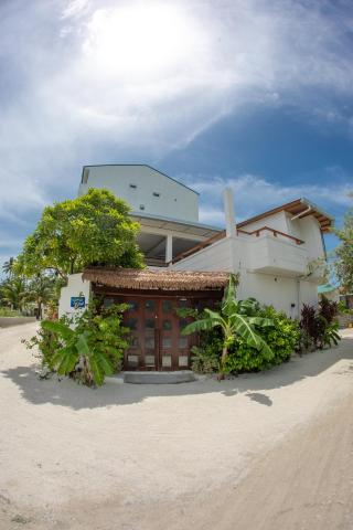 Maldivine Stay Dhiffushi — photo 1