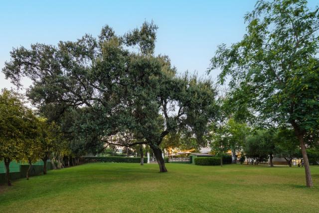 Crisol Jardines de Córdoba — photo 11