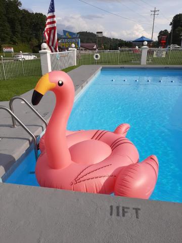Carolina Motel — photo 15