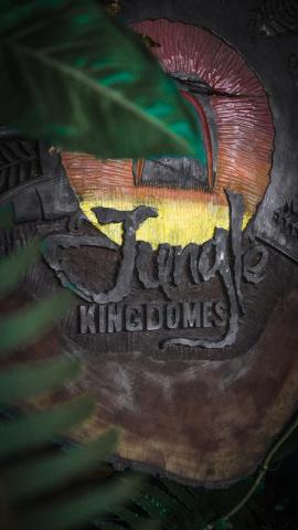 Jungle KingDomes Guest House — photo 11