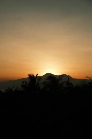 Jungle KingDomes Guest House — photo 4