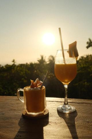 Jungle KingDomes Guest House — photo 9
