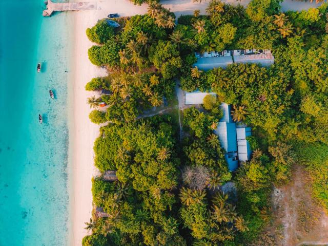Mi Lugar Maldives — photo 1