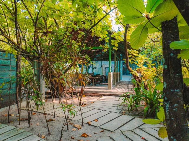 Mi Lugar Maldives — photo 7