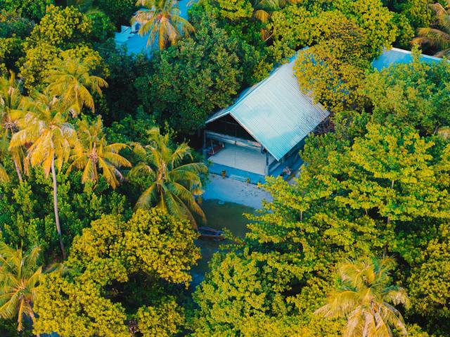Mi Lugar Maldives — photo 9