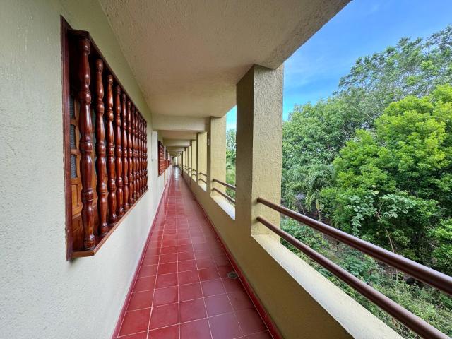 Hotel Casa Colonial Cozumel-Dog Friendly — photo 19
