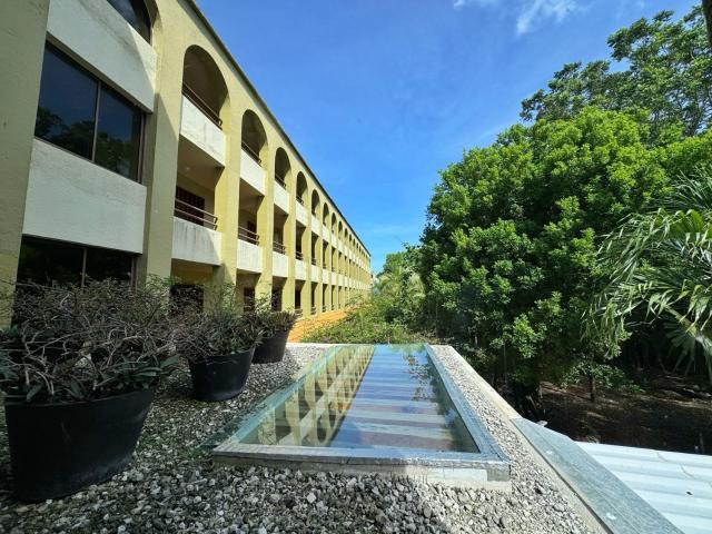 Hotel Casa Colonial Cozumel-Dog Friendly — photo 6