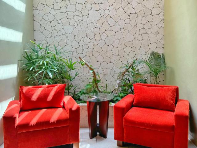 Hotel Casa Colonial Cozumel-Dog Friendly — photo 4