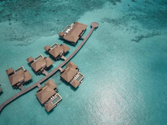 COMO Maalifushi, The Maldives — photo 16