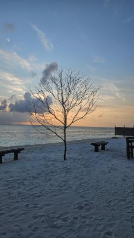 Palmrest — photo 9