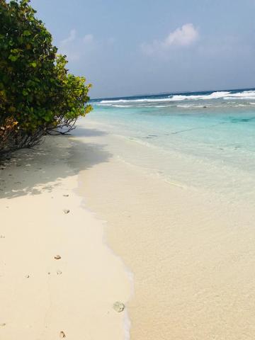 Bon Abri maldives — photo 13