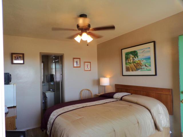 Cypress Tree Motel — photo 7