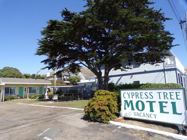 Cypress Tree Motel — photo 11