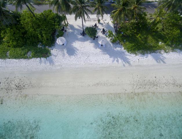 The White Harp Beach — photo 14