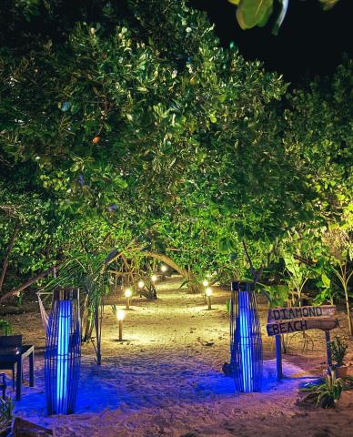Sea View Villa — photo 14