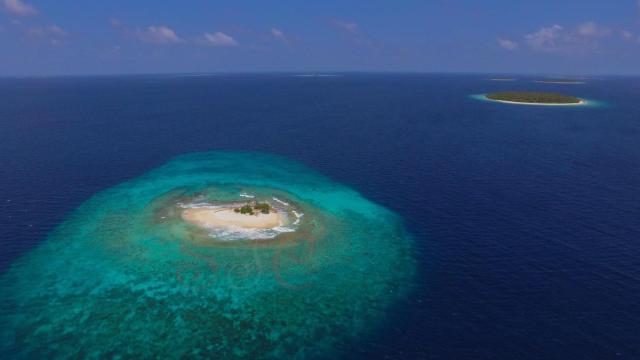 Bon Abri maldives — photo 14