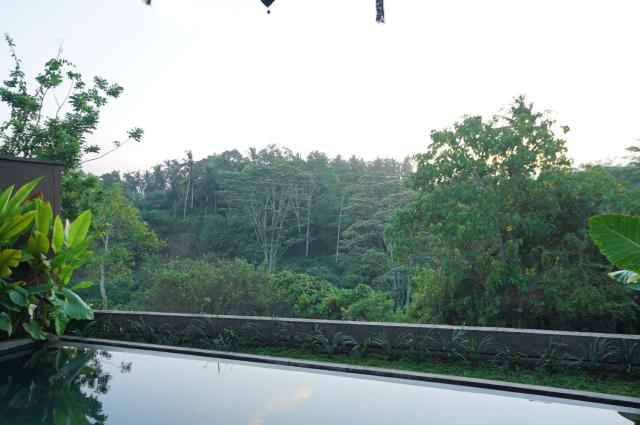 The Shanti Graha Villas — photo 13