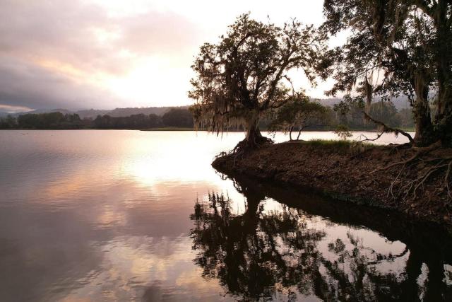 Hotel Boutique Casona del Cafetal and Lakeside Restaurant — photo 16