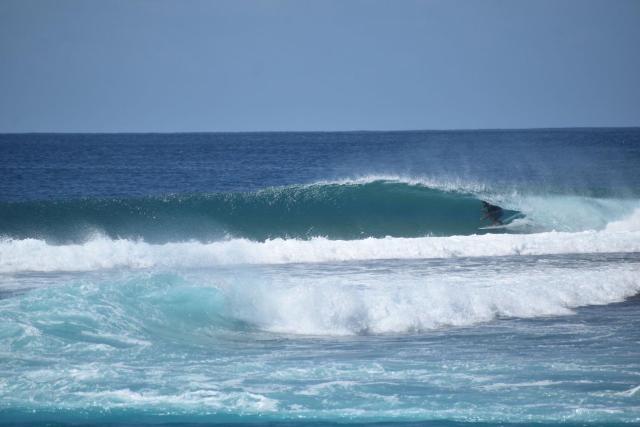 Maverick Surf and Dive Boutique Hotel — photo 15