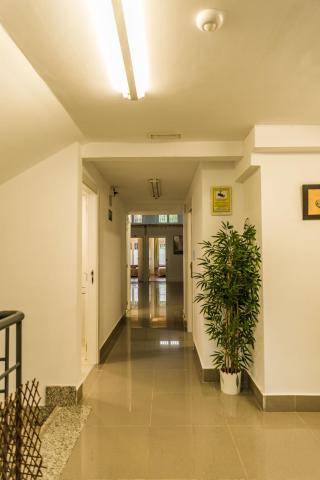 Isabel Guest House — photo 13