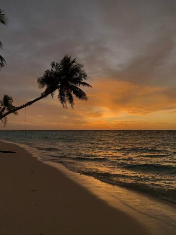 Omadhoo Inn — photo 7