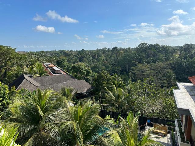 Brata Cottage Ubud — photo 19