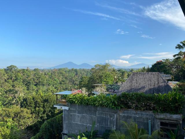 Brata Cottage Ubud — photo 17