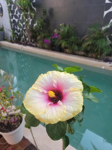 Puerto del Cielo — photo 19