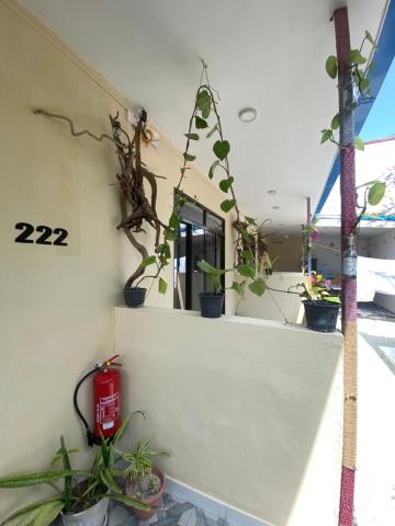 Maavaharu Guest House Himmafushi — photo 19