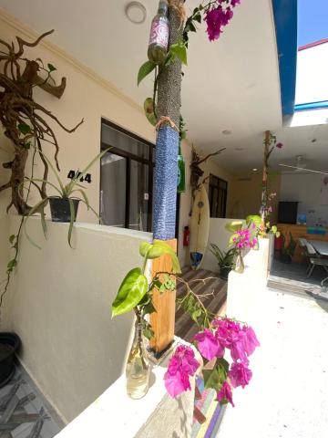 Maavaharu Guest House Himmafushi — photo 18