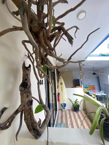 Maavaharu Guest House Himmafushi — photo 14