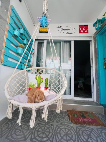 Casa Ohana — photo 6