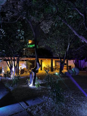Narime Costa Rica — photo 14