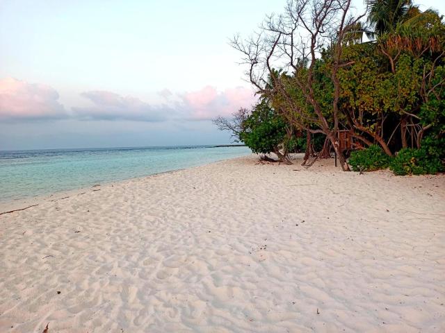 Dhoadhi Beach Maldives — photo 1