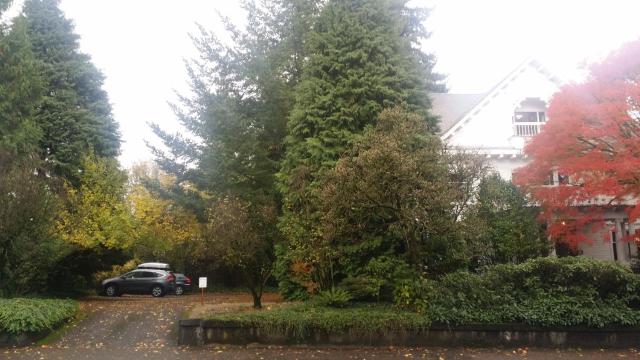 Evermore Guesthouse — photo 15