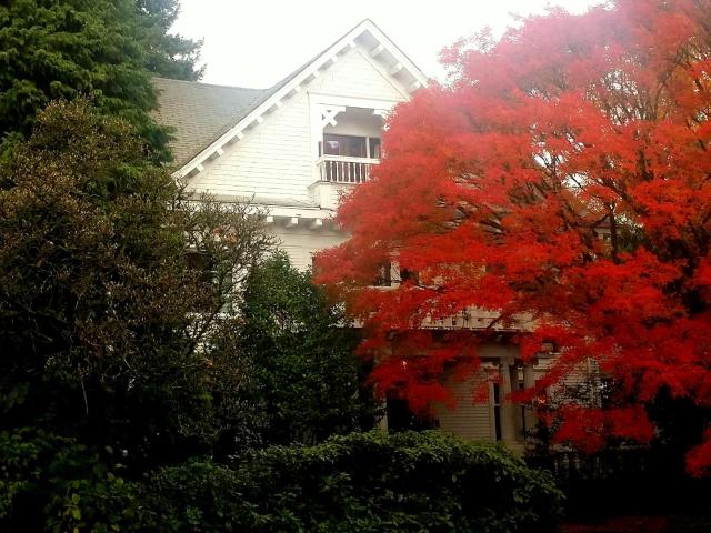 Evermore Guesthouse — photo 4